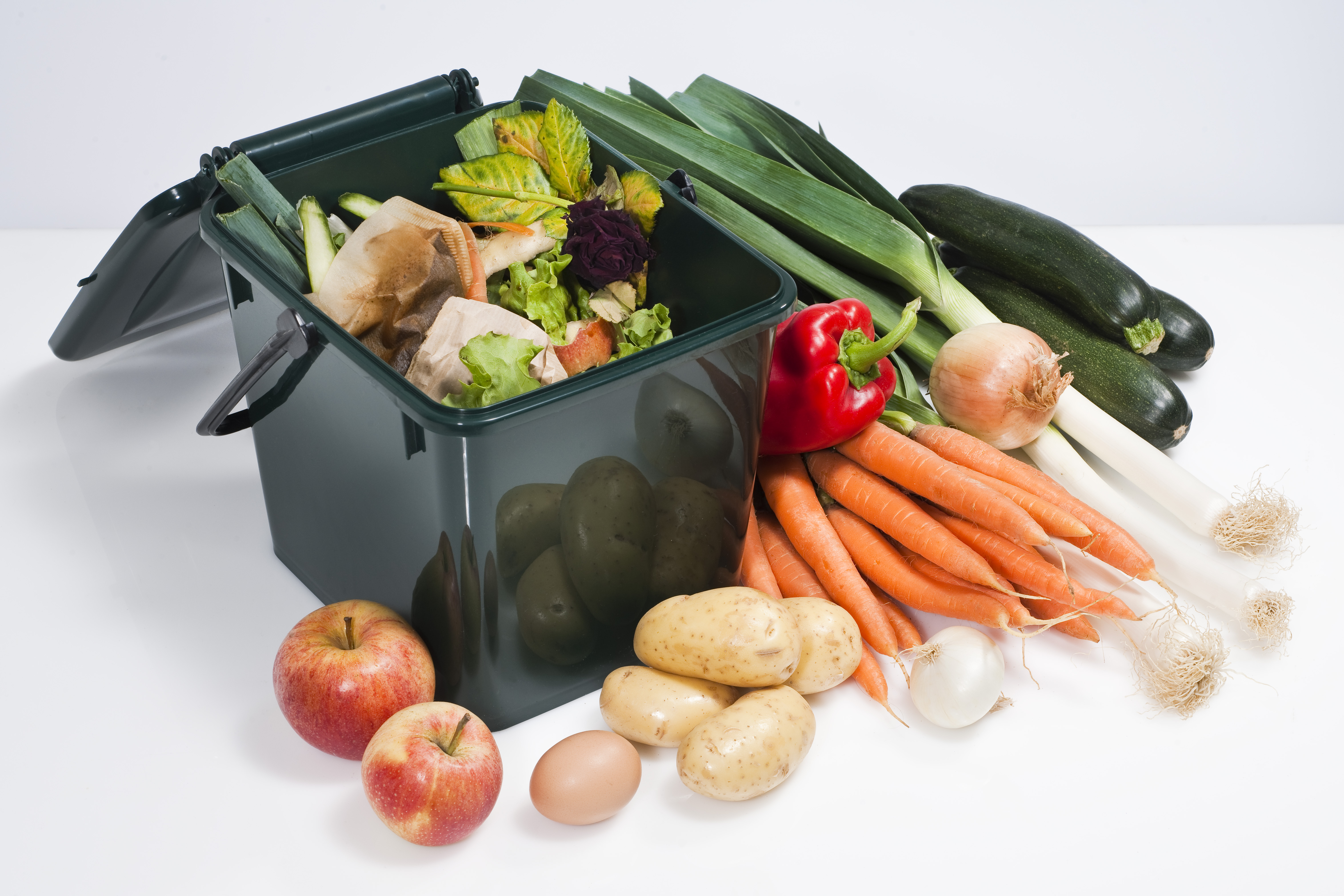 Compost container and vegetables --- Image by © Pascal Bouclier/Photononstop/Corbis