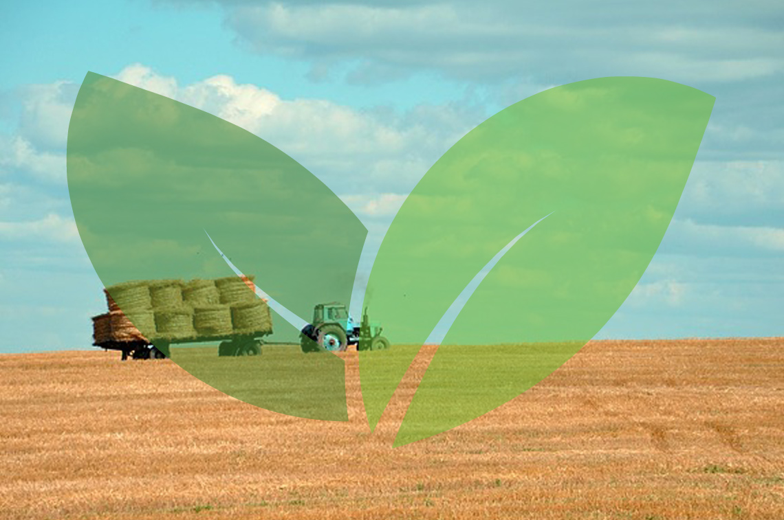 AGRICOLTURA E AGROINDUSTRIA
