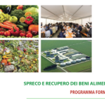 PROGRAMMA FORMATIVO