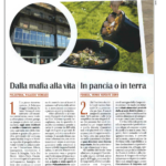 In pancia o in terra
