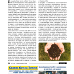 Nella Pancia o nella Terra