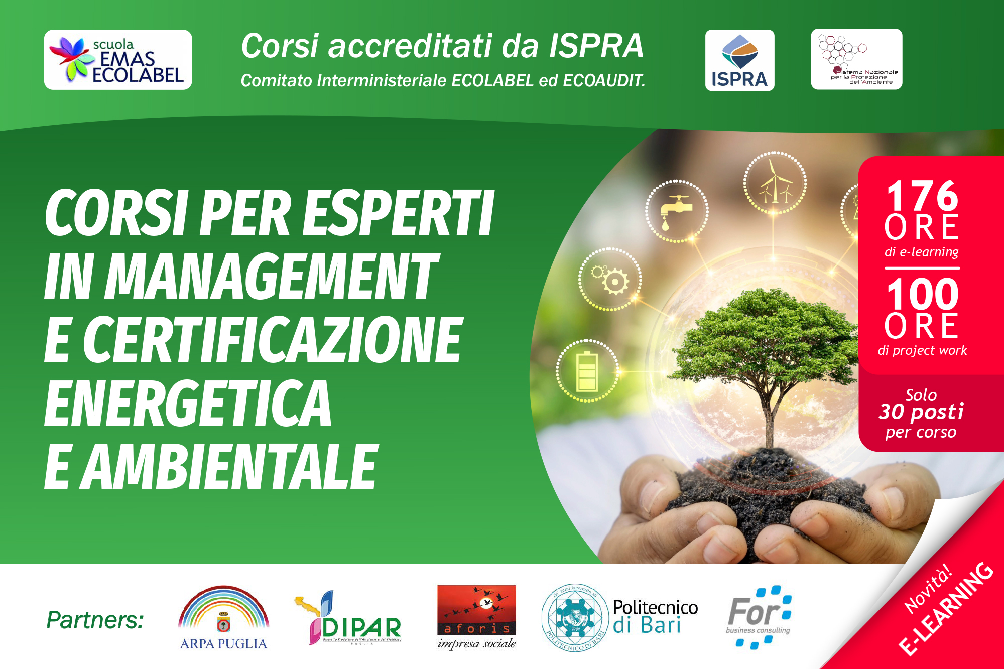 GREEN ECONOMY SCHOOL
